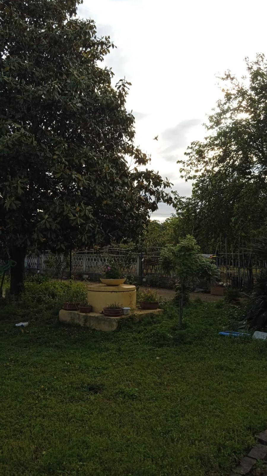 Casina Maria Apartment Rom
