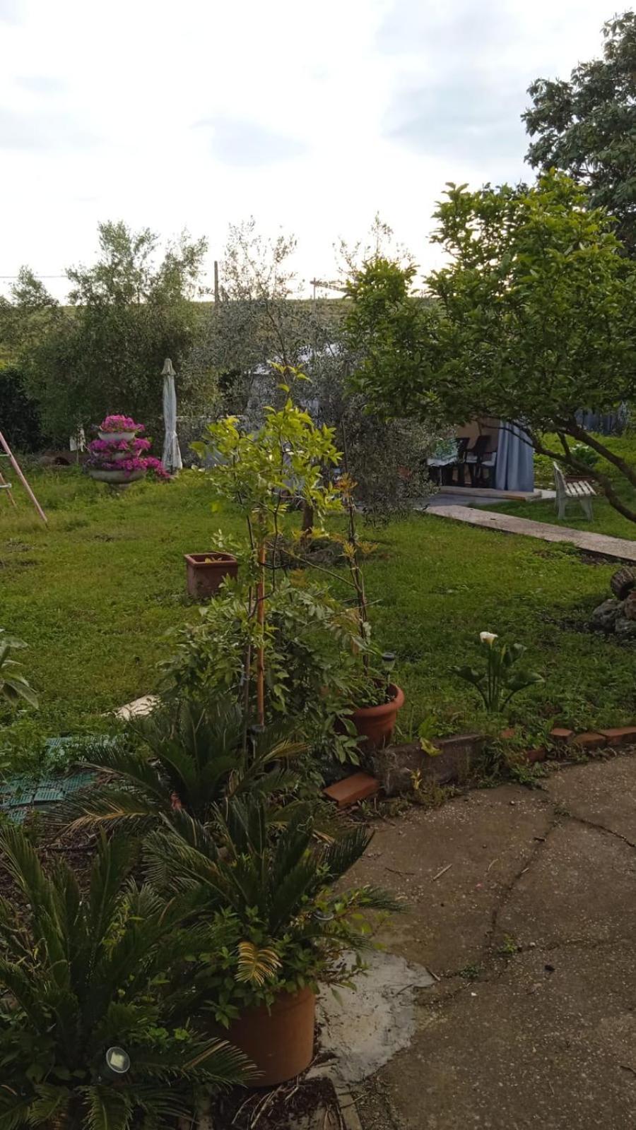 Casina Maria Rom